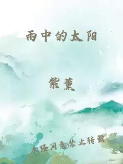 雨中的太阳