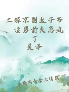 二嫁京圈太子爷，渣男前夫急疯了